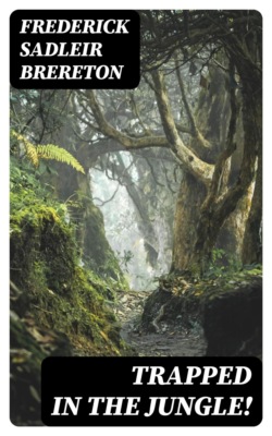 Trapped in the Jungle!