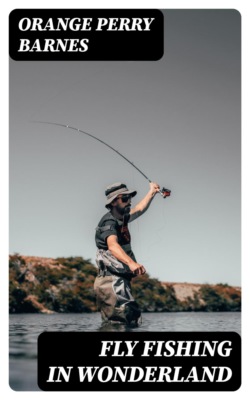 Fly Fishing in Wonderland