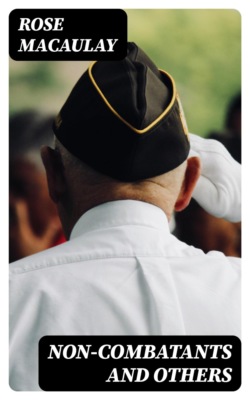 Non-combatants and Others