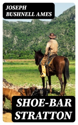 Shoe-Bar Stratton