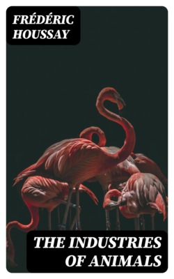 The Industries of Animals
