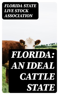Florida: An Ideal Cattle State