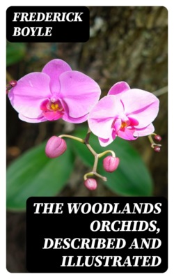 The Woodlands Orchids, Described and Illustrated