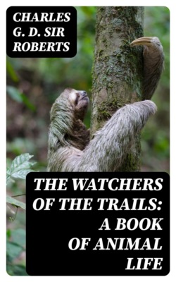 The Watchers of the Trails: A Book of Animal Life