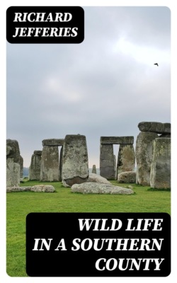 Wild Life in a Southern County