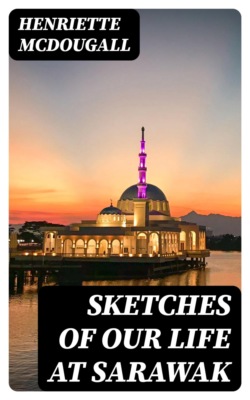 Sketches of Our Life at Sarawak