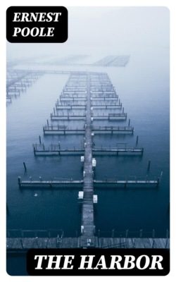 The Harbor