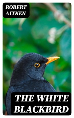 The White Blackbird