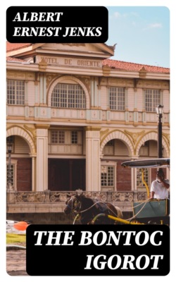 The Bontoc Igorot
