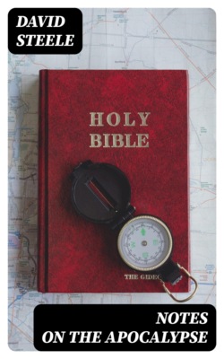 Notes on the Apocalypse