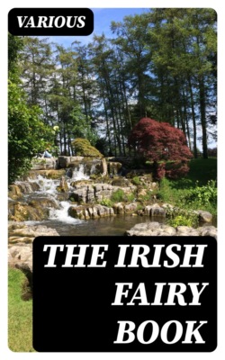 The Irish Fairy Book