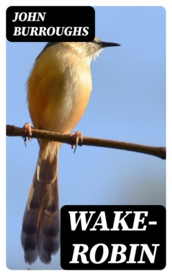 Wake-Robin