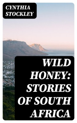 Wild Honey: Stories of South Africa