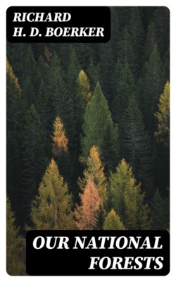 Our National Forests