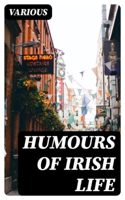 Humours of Irish Life