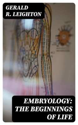 Embryology: The Beginnings of Life