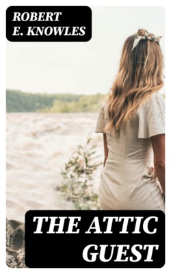 The Attic Guest
