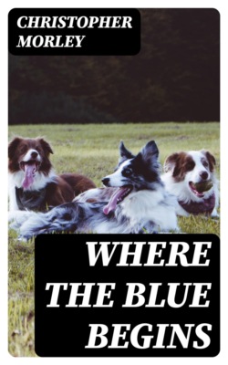 Where the Blue Begins