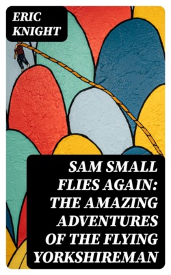 Sam Small Flies Again: The Amazing Adventures of The Flying Yorkshireman