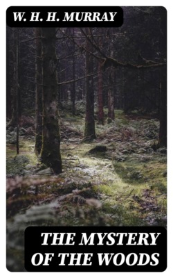 The Mystery of The Woods