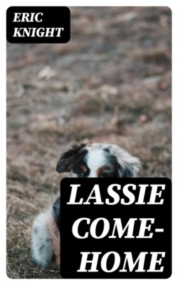 Lassie Come-Home