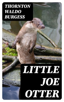 Little Joe Otter