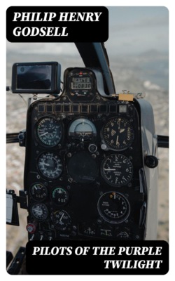 Pilots of the Purple Twilight