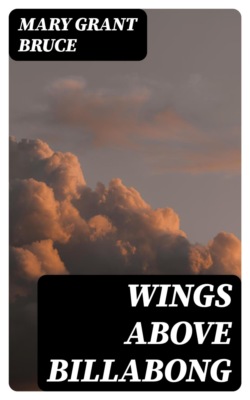 Wings above Billabong