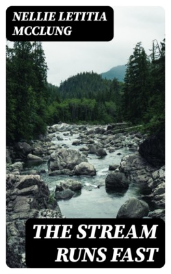 The Stream Runs Fast