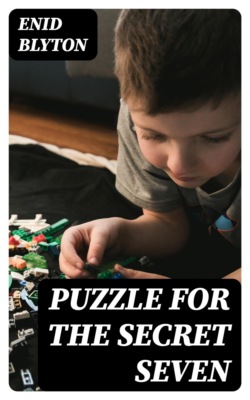 Puzzle for the Secret Seven