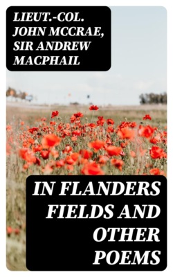 In Flanders Fields And Other Poems