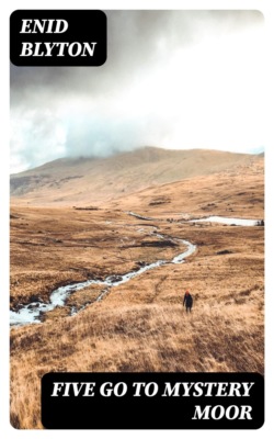 Five go to Mystery Moor