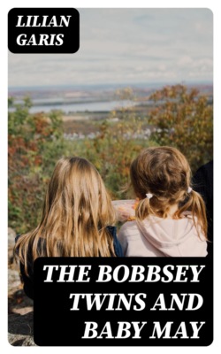 The Bobbsey Twins and Baby May