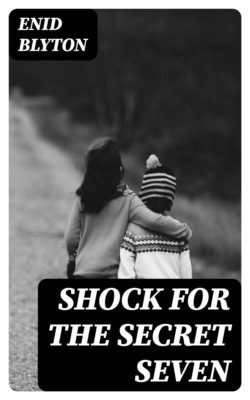 Shock for the Secret Seven