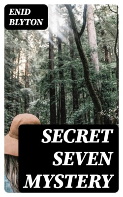 Secret Seven Mystery