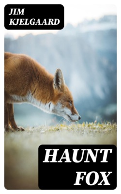 Haunt Fox