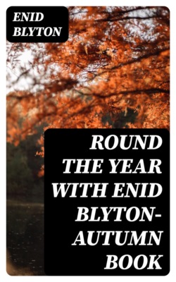 Round the Year with Enid Blyton—Autumn Book