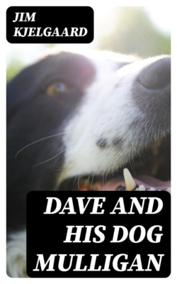 Dave and his Dog Mulligan