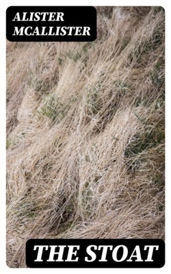 The Stoat