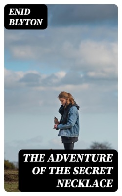 The Adventure of the Secret Necklace