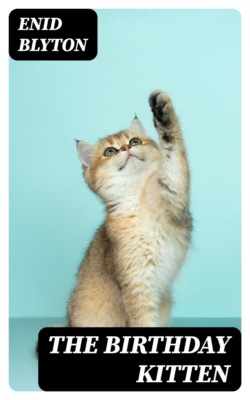The Birthday Kitten