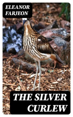 The Silver Curlew