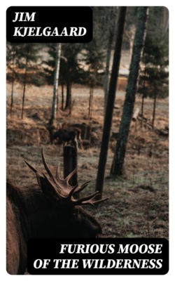 Furious Moose of the Wilderness