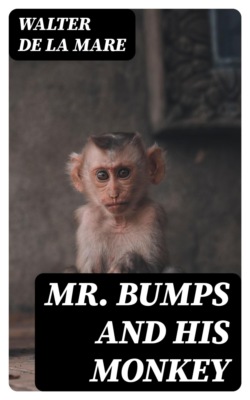 Mr. Bumps and his Monkey