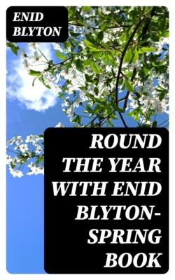 Round the Year with Enid Blyton—Spring Book