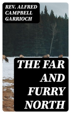The Far and Furry North