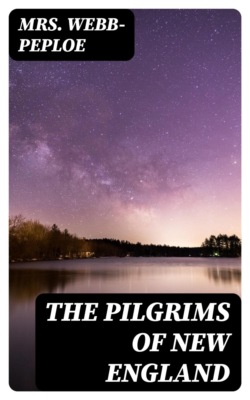 The Pilgrims of New England