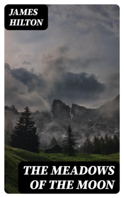 The Meadows of the Moon