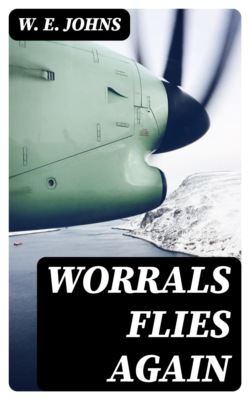 Worrals Flies Again