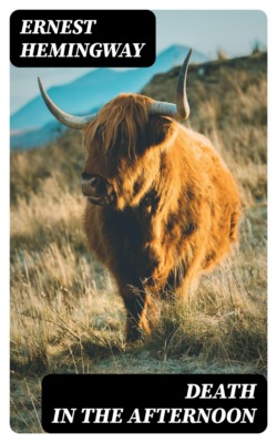 Death in the Afternoon